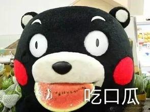 吃瓜看剧原声在线听免费,尽在在线音乐盛宴