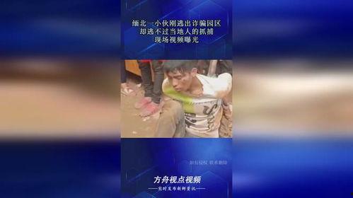 当地人的爆料视频在哪看,当地人爆料视频观看指南，一探究竟！  第1张