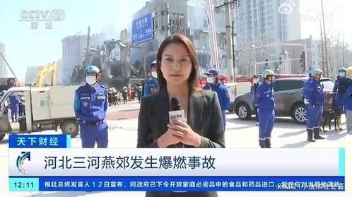 美国名记者爆料视频大全,真实与真相的碰撞